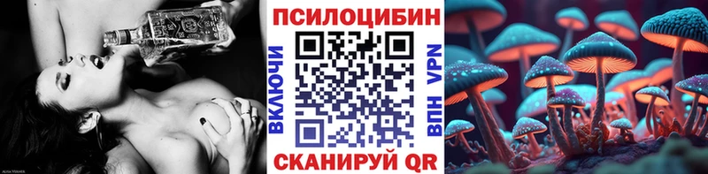 закладка  дарк нет телеграм  Псилоцибиновые грибы Psilocybe  Новокузнецк 